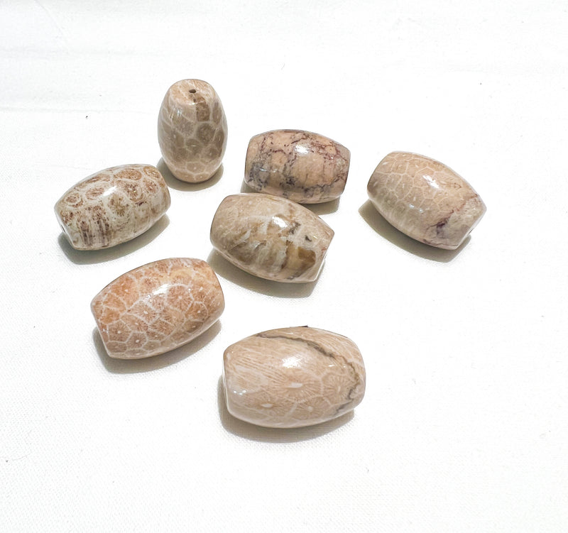 Fossilized Coral Focal Beads | Glossy Finish | Natural Fossilized Cora Focals |l two Sizes | DIY Jewelry Supplies