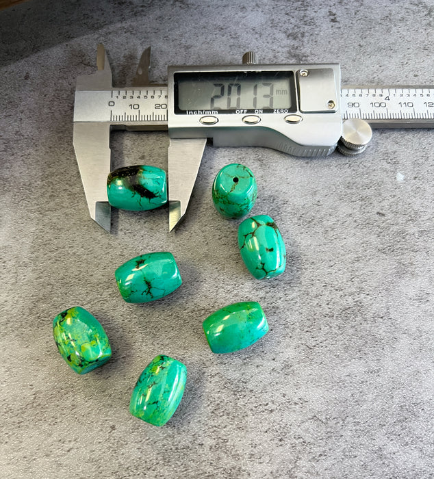 20mm Turquoise Green Magnesite Drum Beads