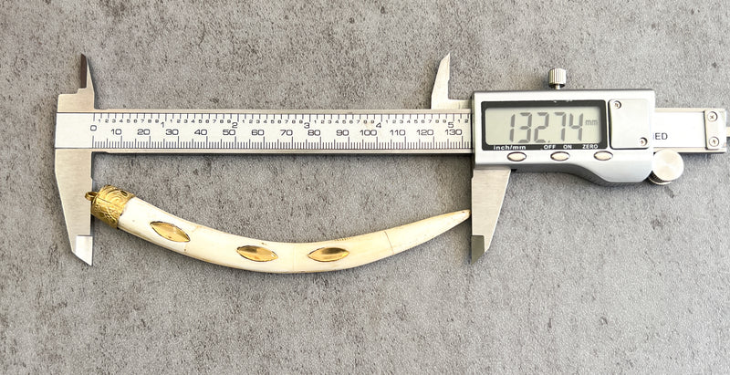 Bone and Horn Tusk Pendants