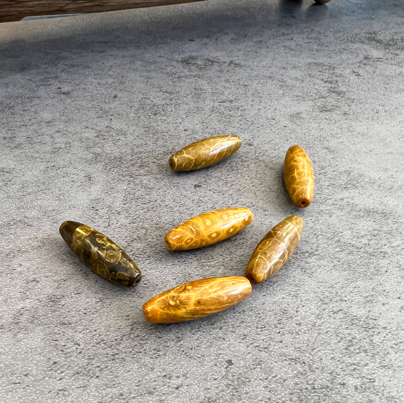 Yellow Fossilize Coral Focal Beads