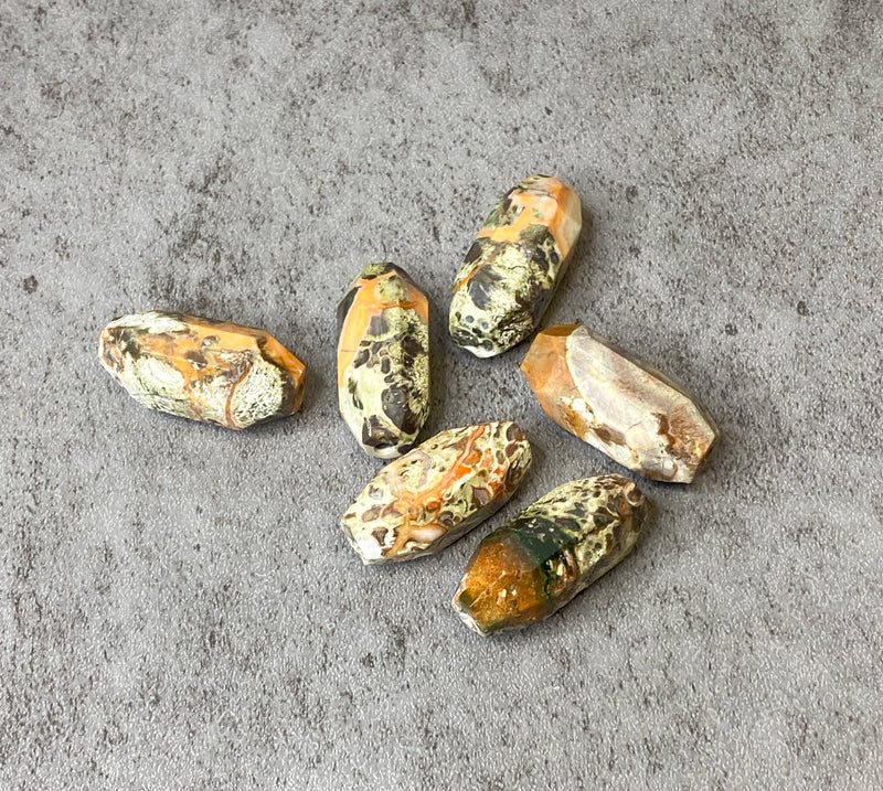 Ocean Jasper Focal Beads