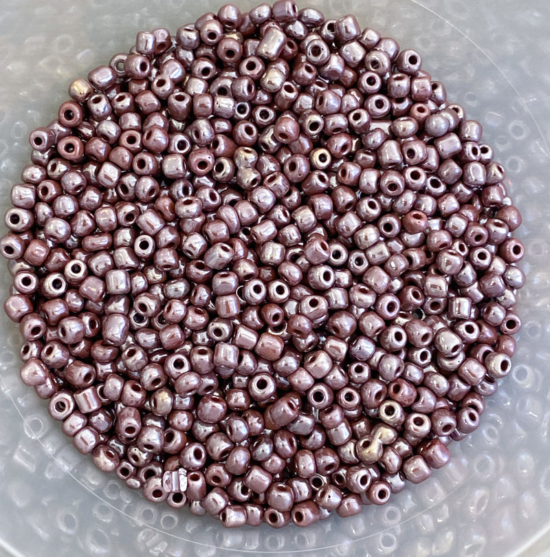 6/0 Opaque Ceylon Raisin