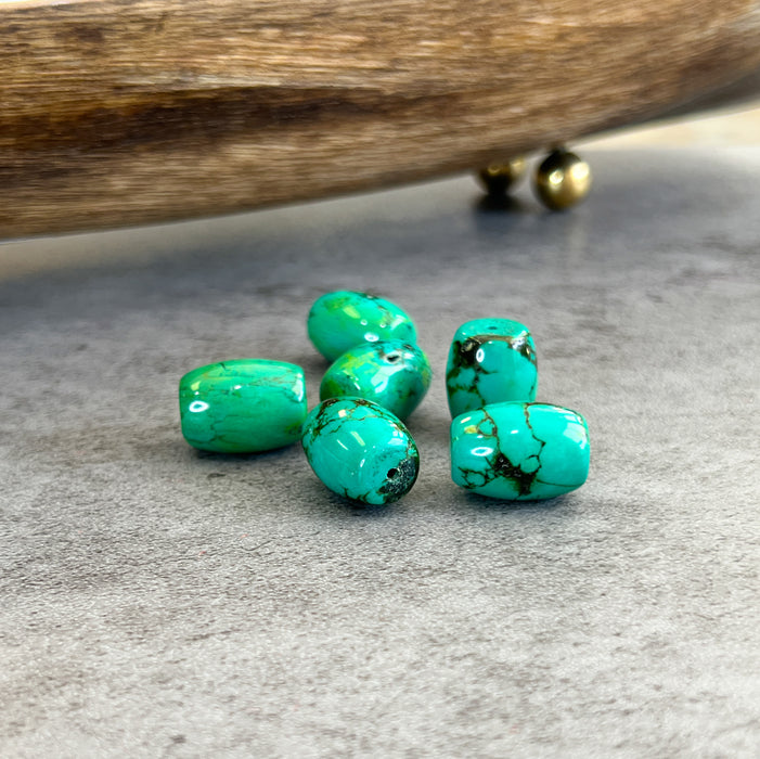 20mm Turquoise Green Magnesite Drum Beads