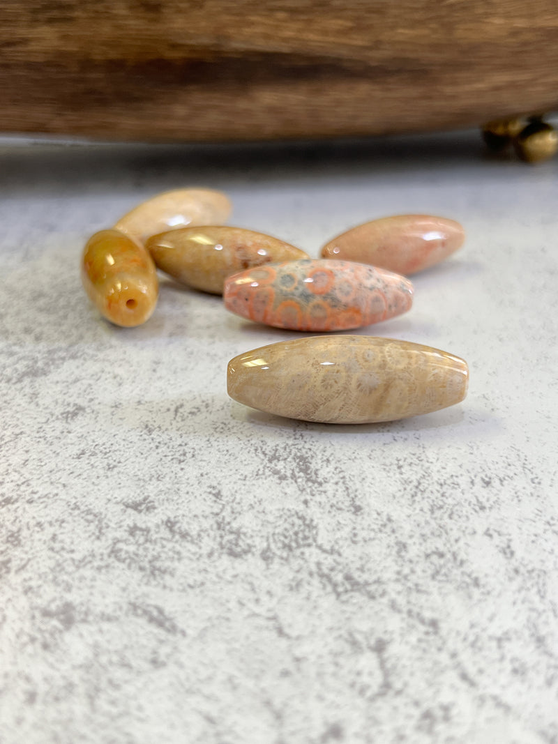 Fossilized Coral Focal Beads | Glossy Finish | Natural Fossilized Cora Focals |l two Sizes | DIY Jewelry Supplies